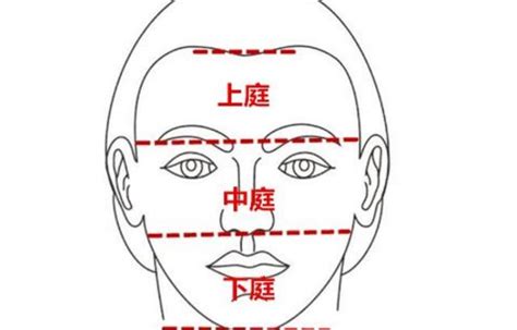 面相 上庭 中庭 下庭|面相学的入门基础，看人先观三庭，是福是祸一清二楚